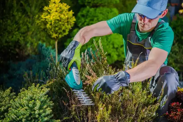 landscaping services Platte City